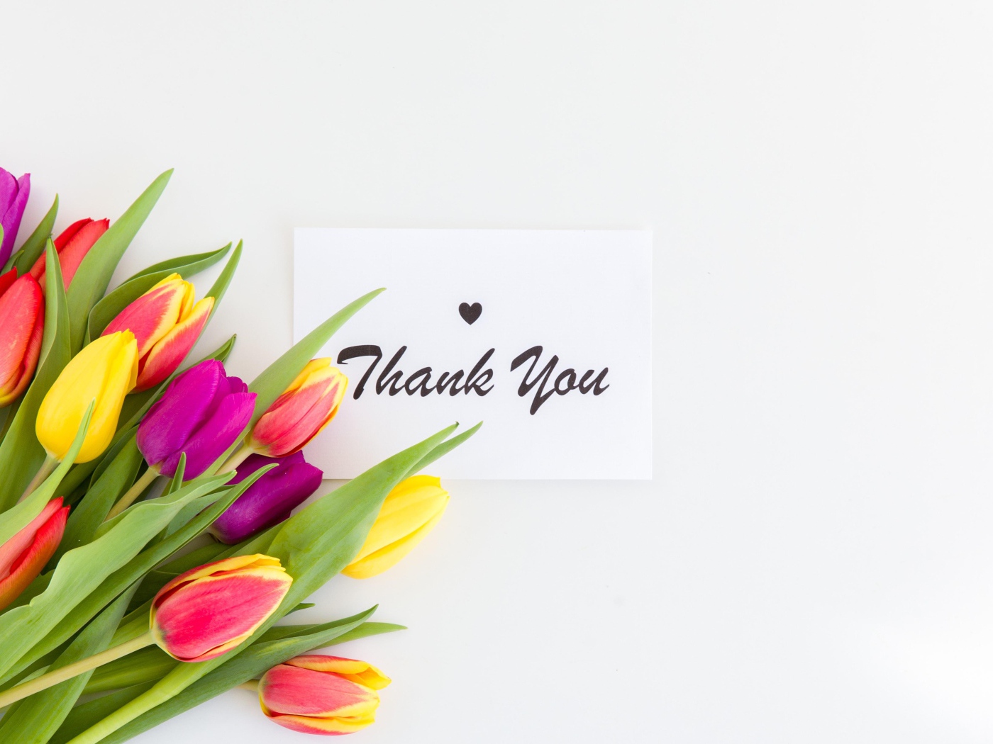 Букет разноцветных тюльпанов и надпись спасибо на белом фоне