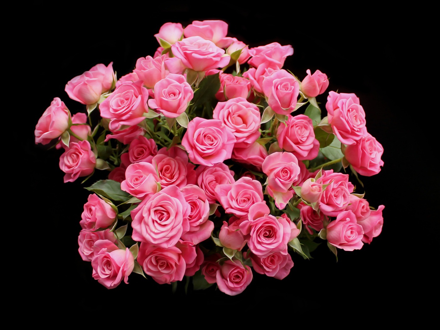 Букет розовых роз на черном фоне