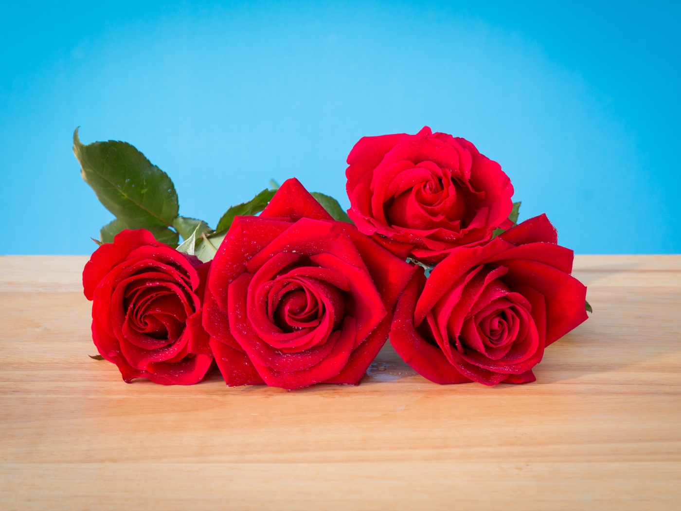 Букет красных роз на голубом фоне 