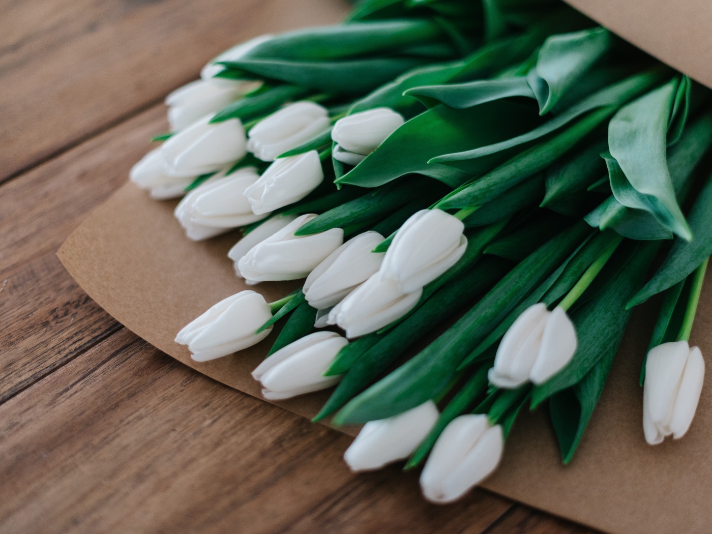 Большой букет белых тюльпанов в бумажном пакете 