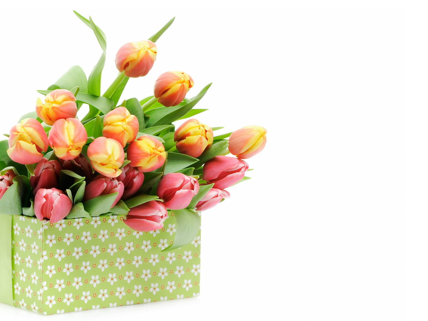 Большая коробка с разноцветными тюльпанами