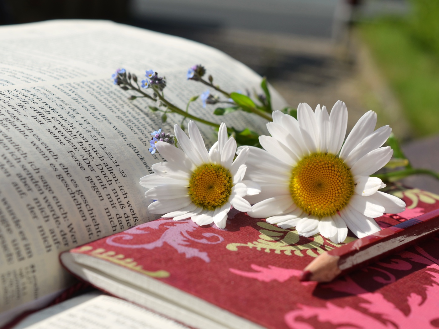 Белые ромашки с блокнотом и карандашом на книге 