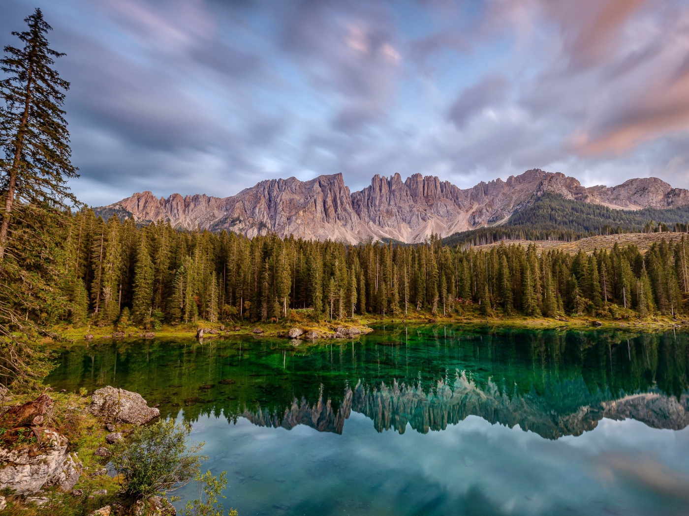 Красивый лесной пейзаж у озера 