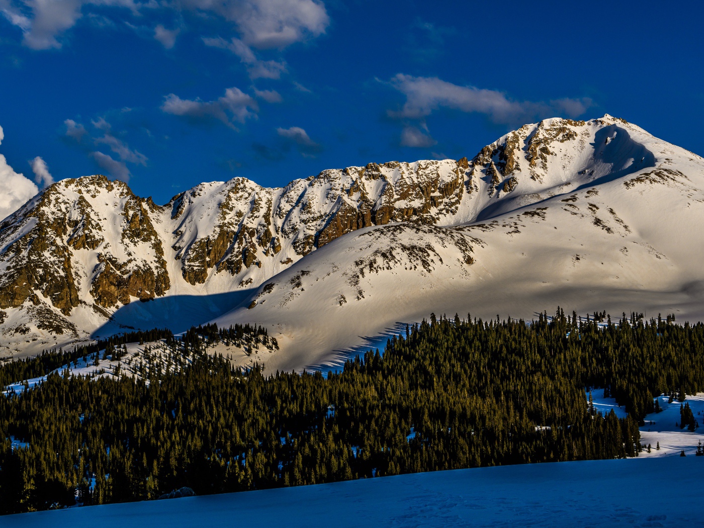Зеленый лес на покрытых снегом горах 