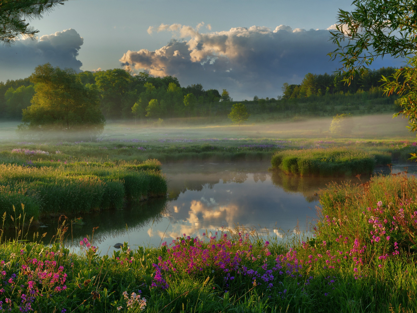 Туман над полем у реки на рассвете 