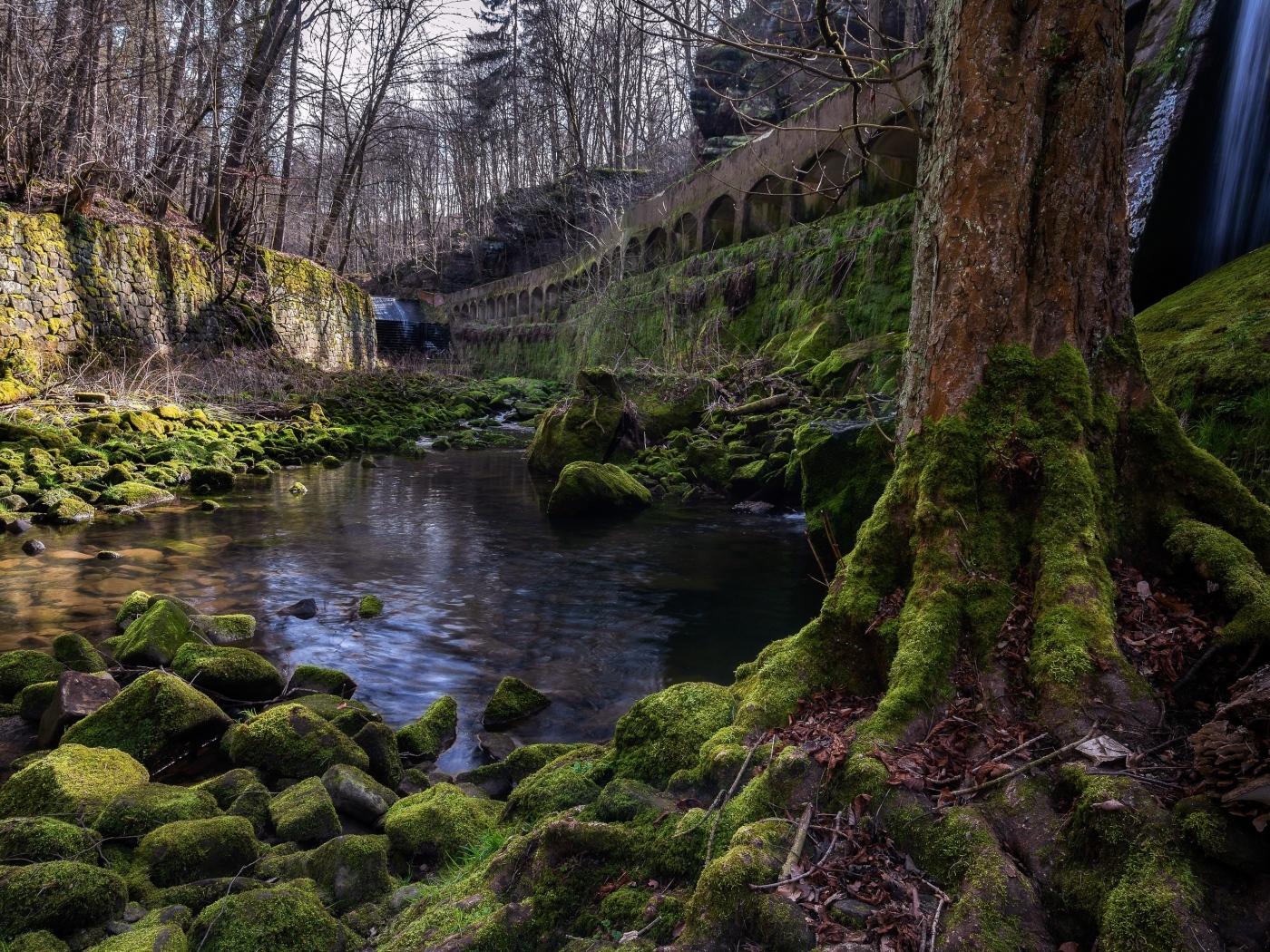 Старый мост у реки в лесу 