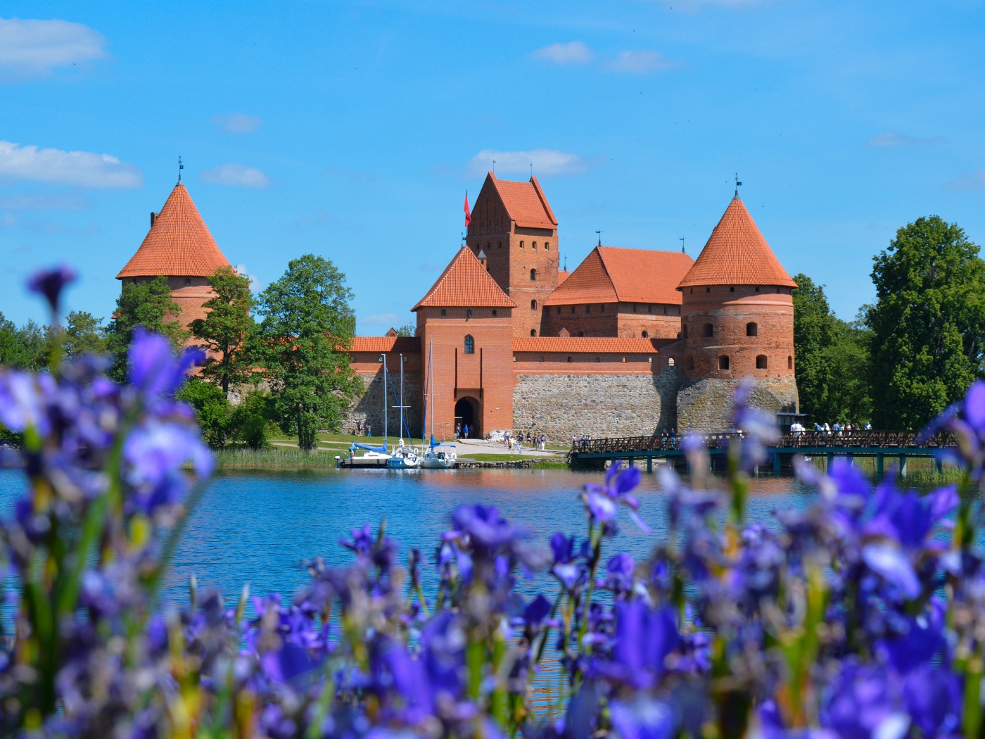 Вид на старую крепость у озера с цветами ириса