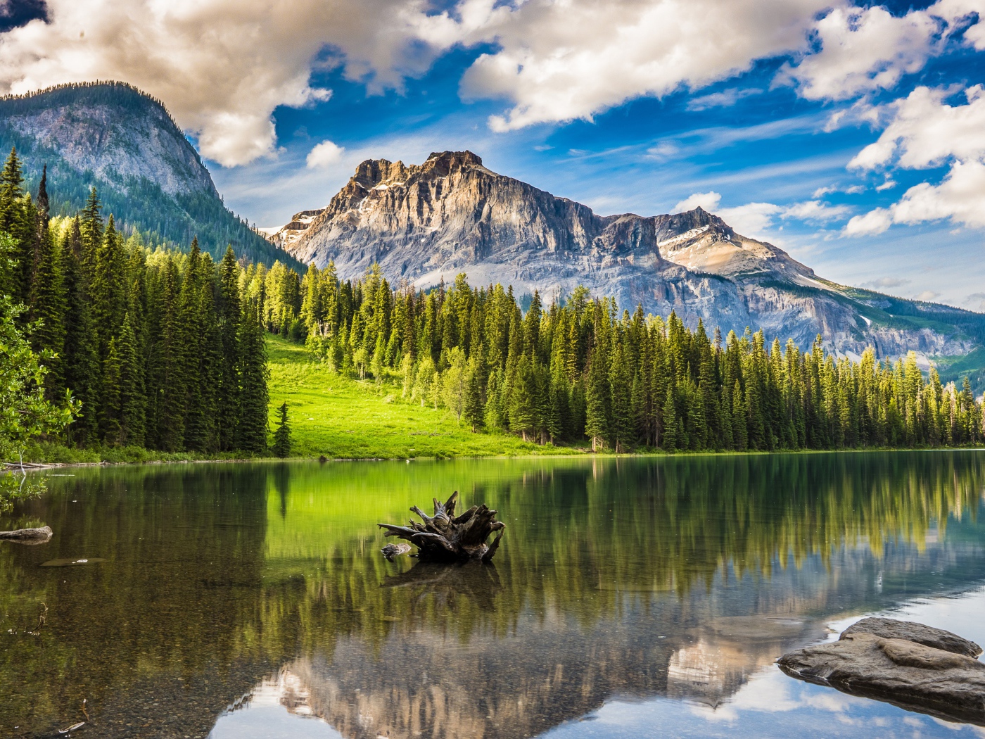 Коряга лежит в воде озера у подножия гор под голубым небом у леса