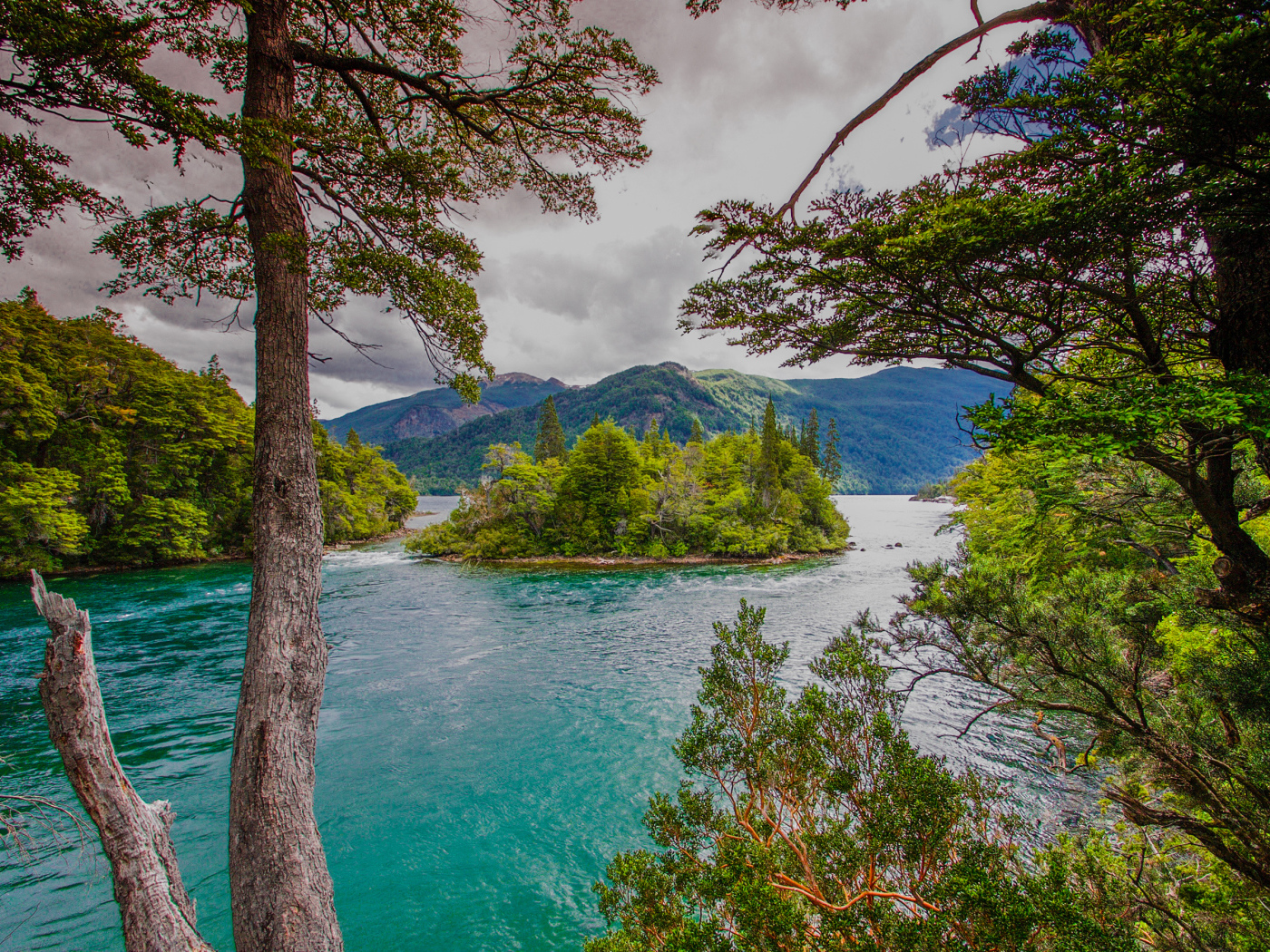 Зеленый остров посередине реки с голубой водой 