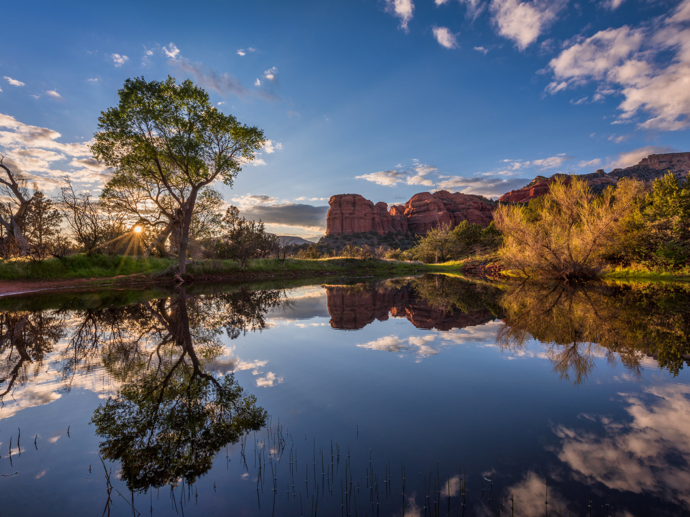 Яркое солнце пробивается сквозь деревья у пруда