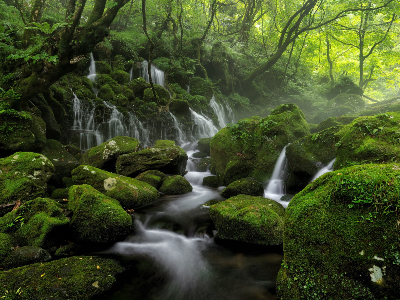 Вода стекает по старым покрытым мхом камням