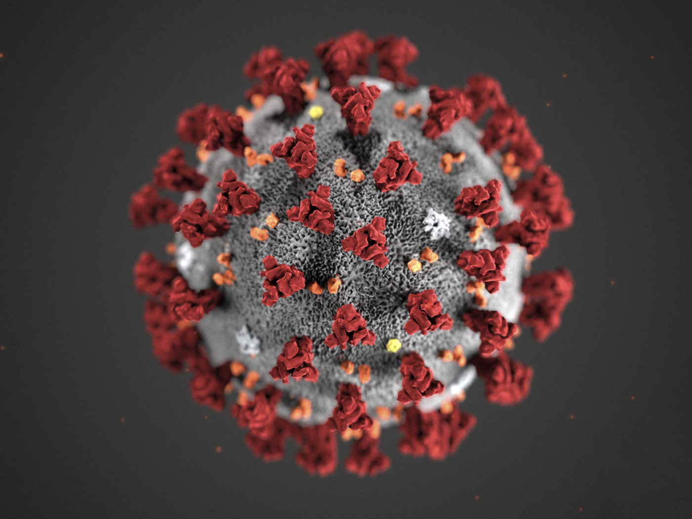 Коронавирус COVID-19 на сером фоне