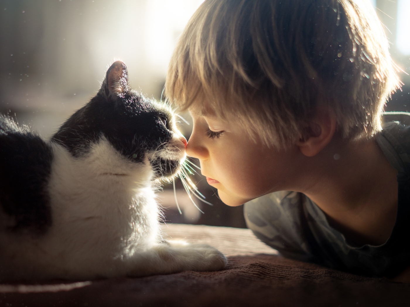 Маленький мальчик лежит с котом 