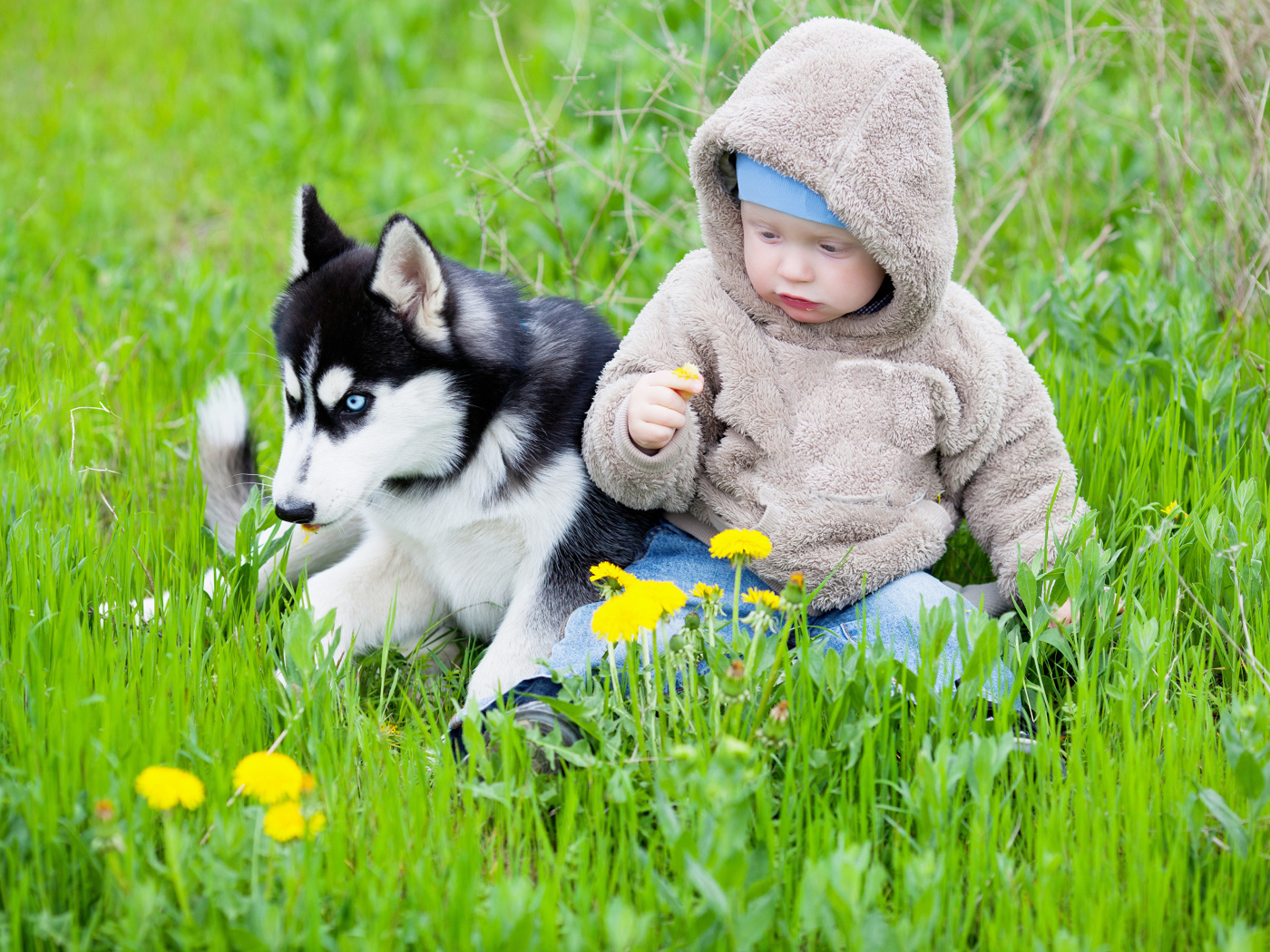 Маленький ребенок сидит в зеленой траве с хаски 