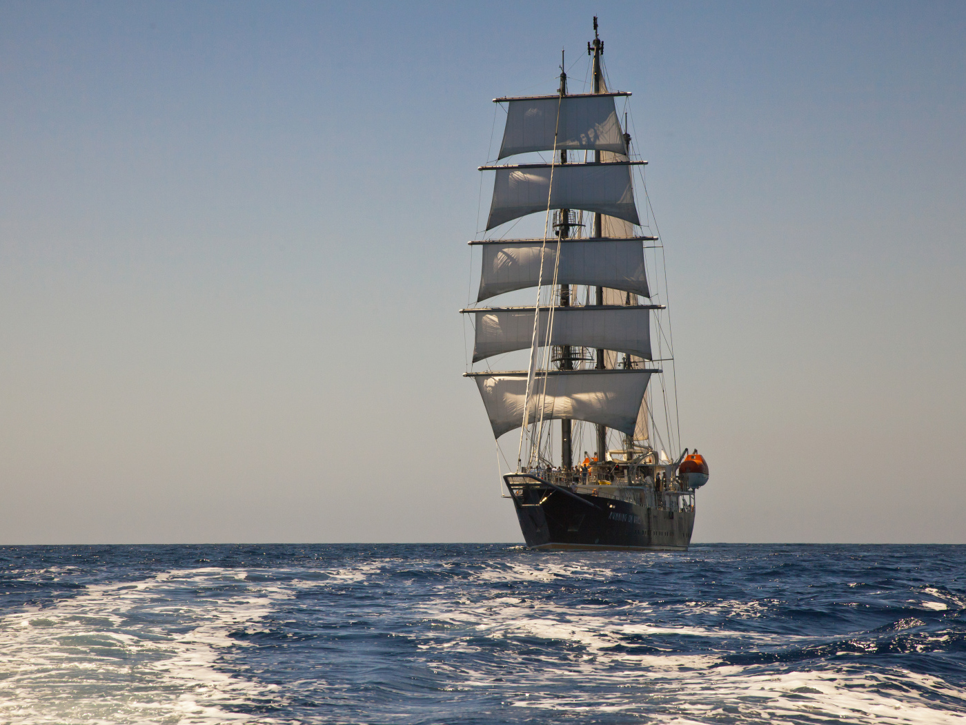 Большой корабль с белыми парусами в поле 