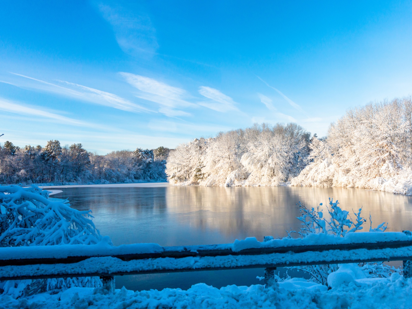 Frozen lake with frost-covered trees on the shore in winter