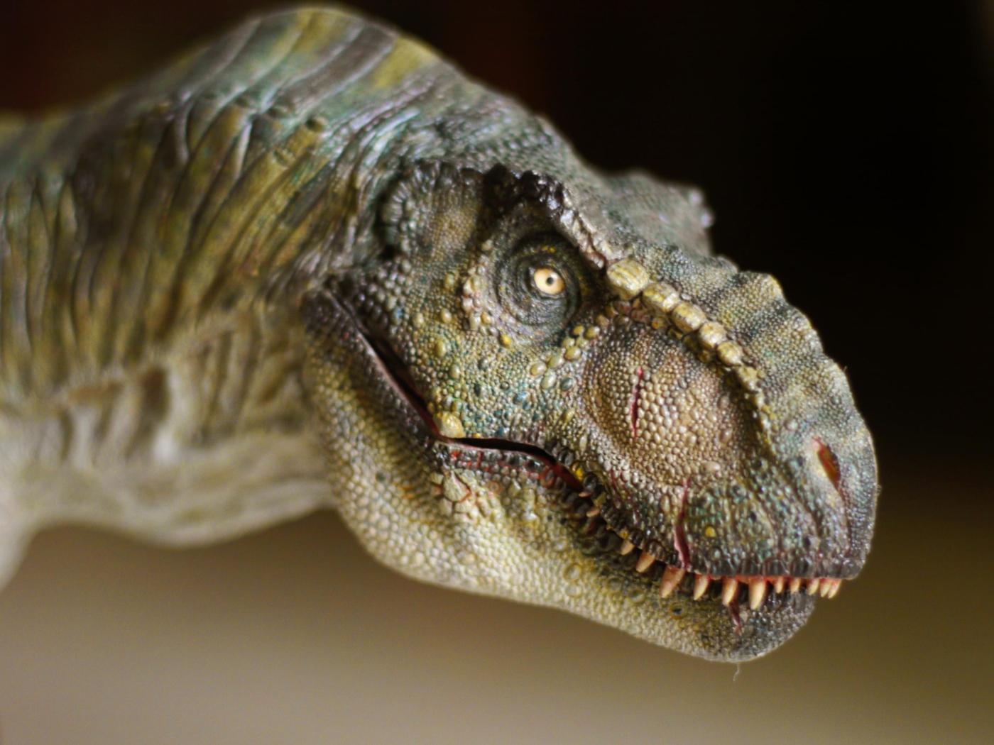 Морда динозавра т рекса крупным планом