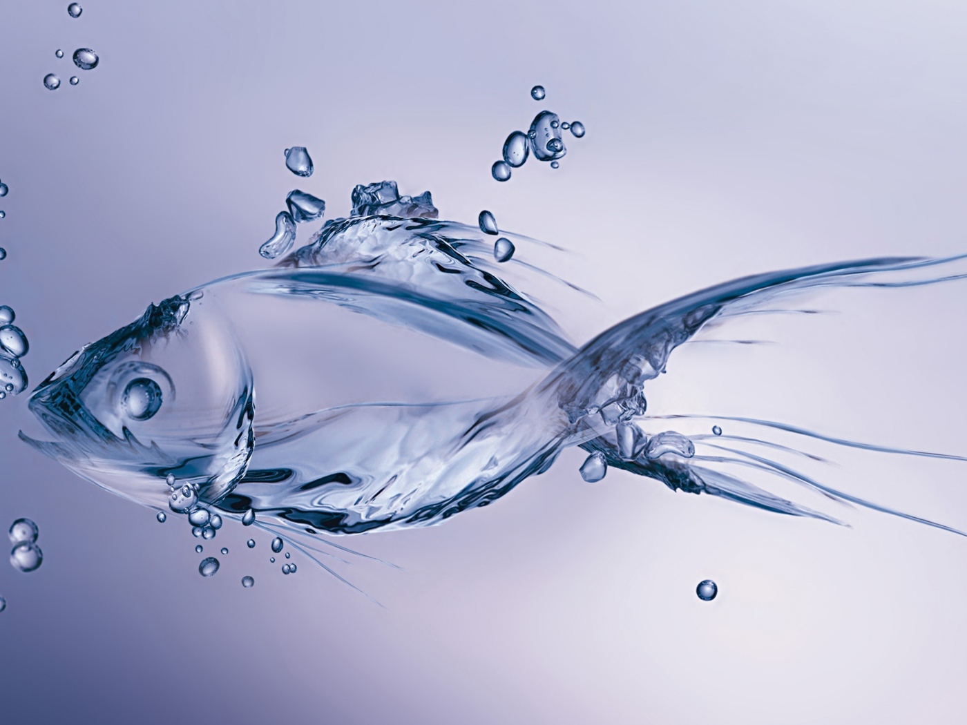 Рыба из воды на синем фоне