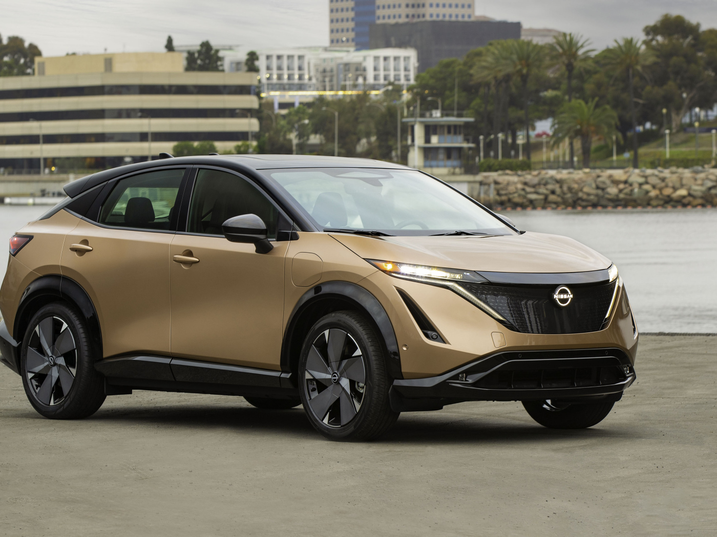 Коричневый автомобиль Nissan Ariya SL E-4orce, 2021 года у воды
