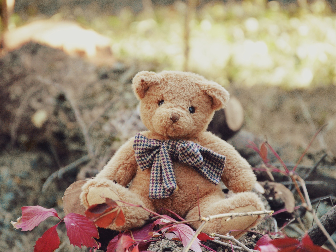 Маленький плюшевый мишка сидит на земле 