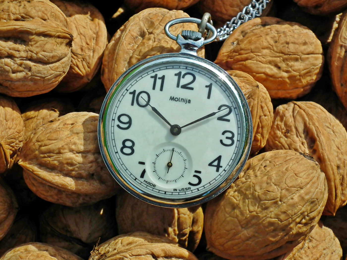 Карманные часы с грецкими орехами 