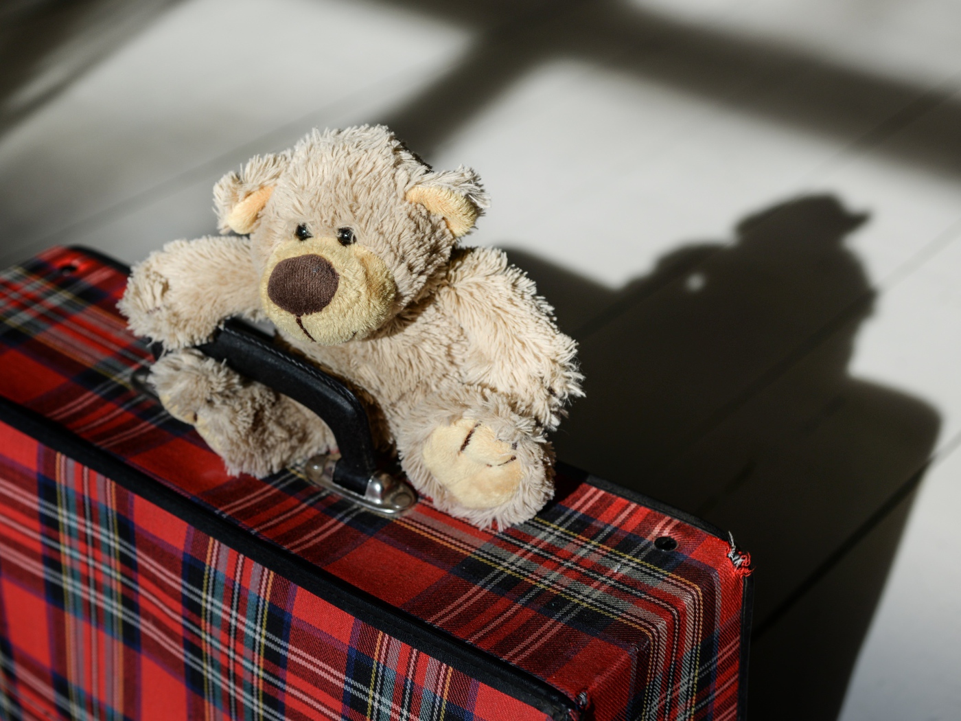 Медвежонок Тедди с большим чемоданом 