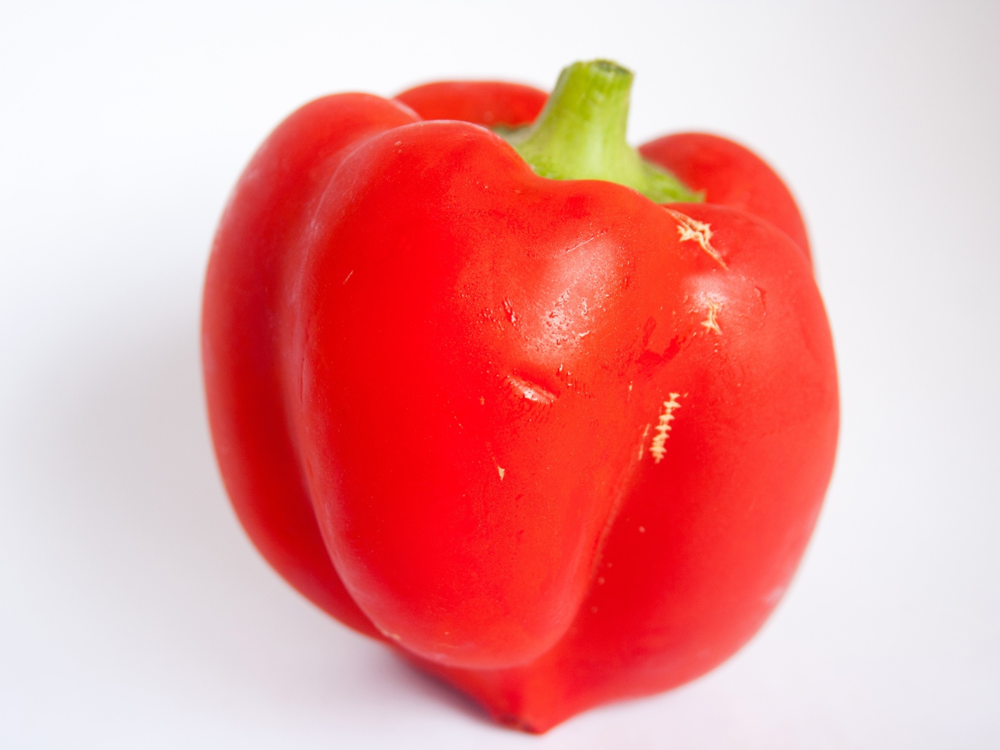 Большой красный болгарский перец на сером фоне