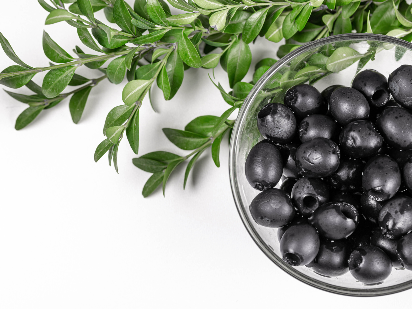 Черные маслины с веткой на белом фоне