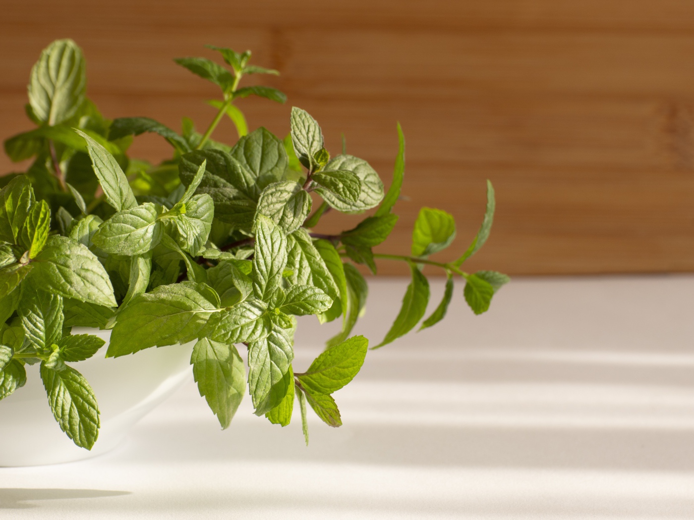 Свежие ароматные зеленые листья мяты