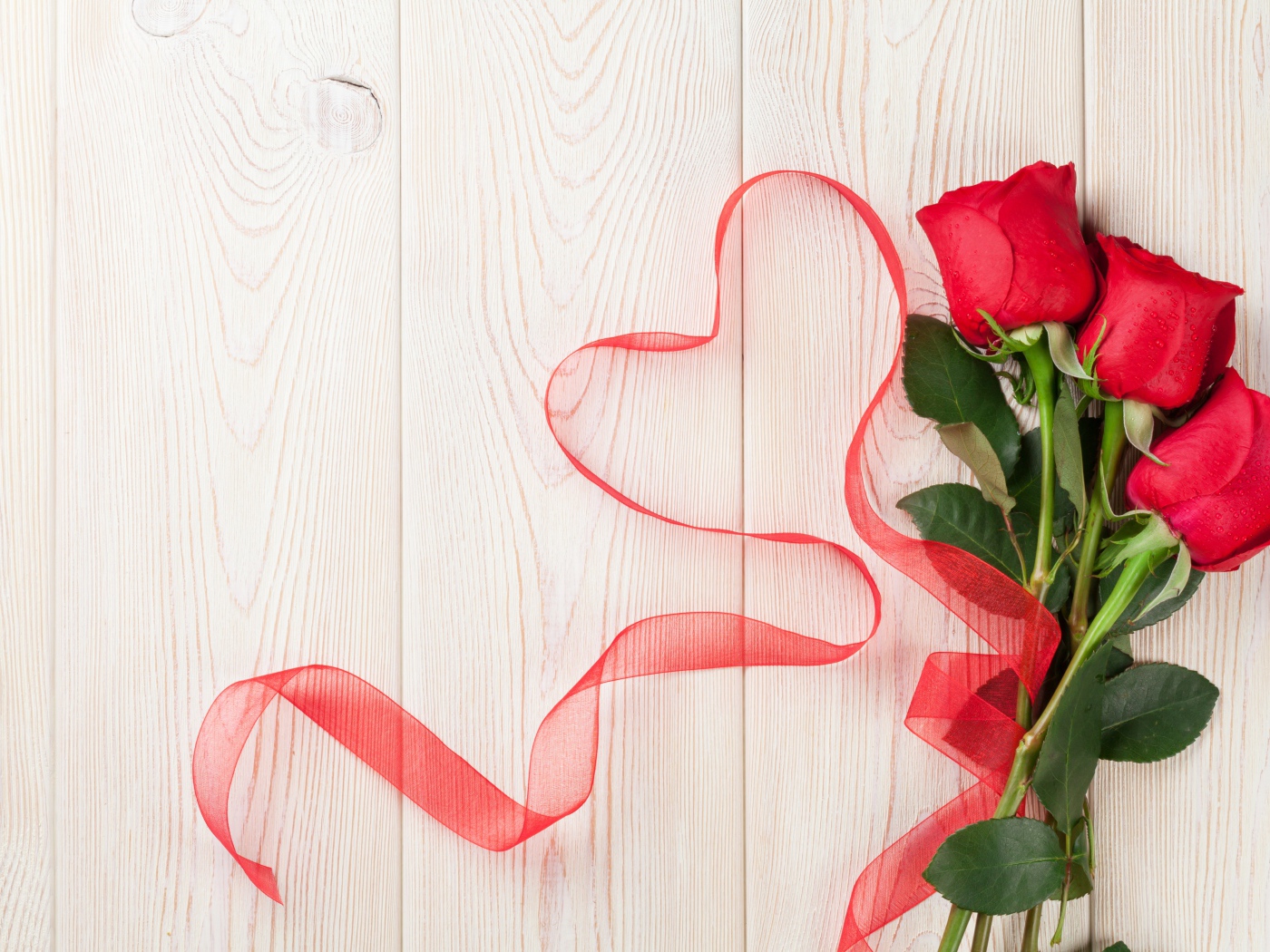 Шаблон поздравительной открытки с розами на день влюбленных