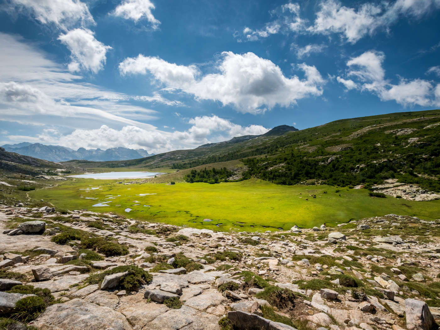 Красивое небо над зеленым лугом в горах 