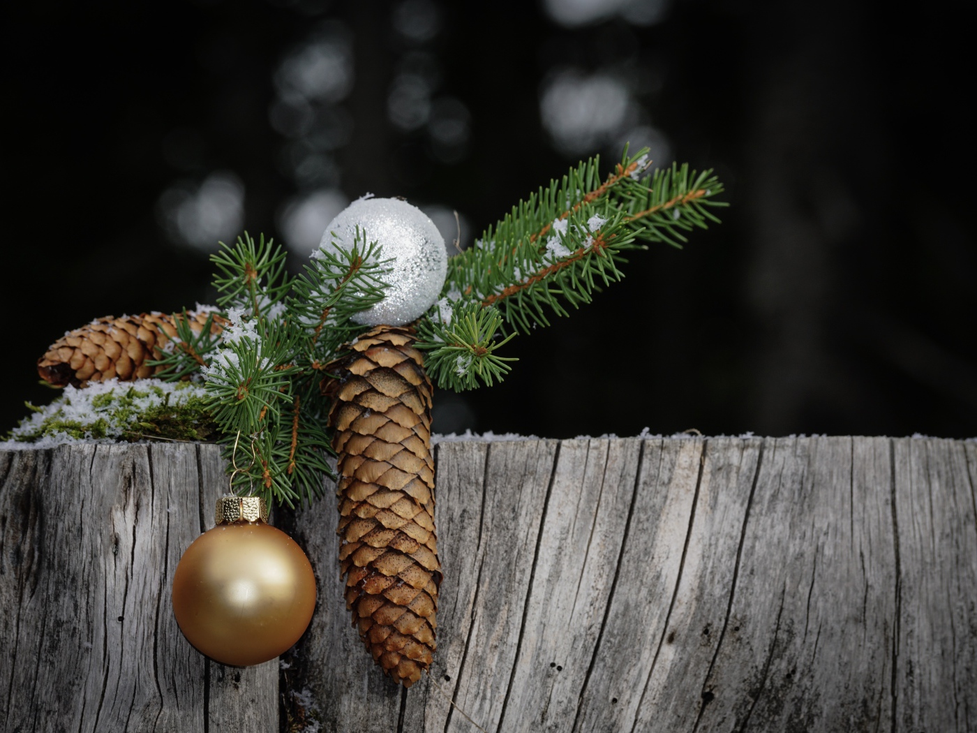 Зеленая ветка ели с шишкой и шариком на пне 