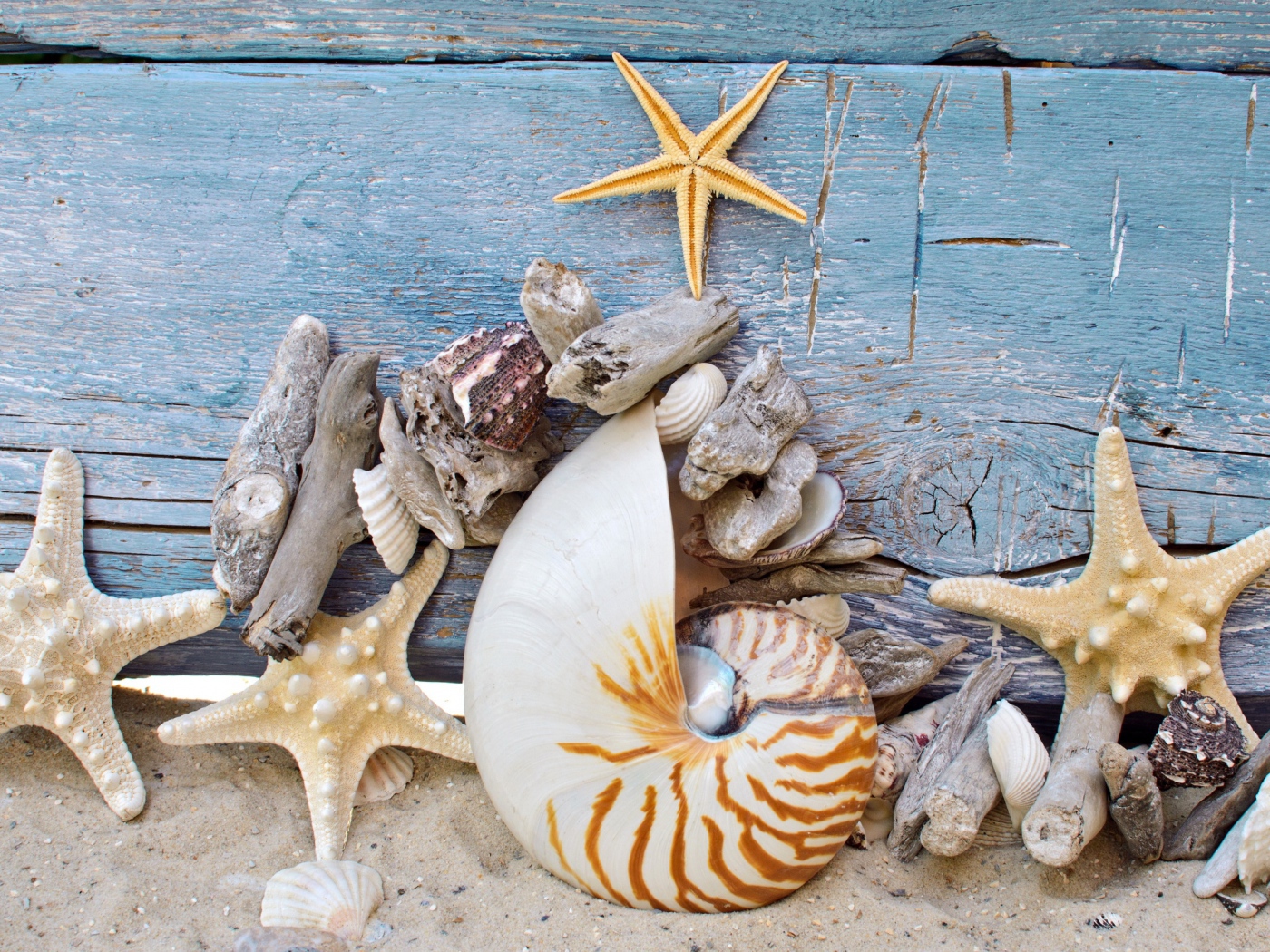 Разные красивые ракушки с морскими звездами на деревянном фоне 