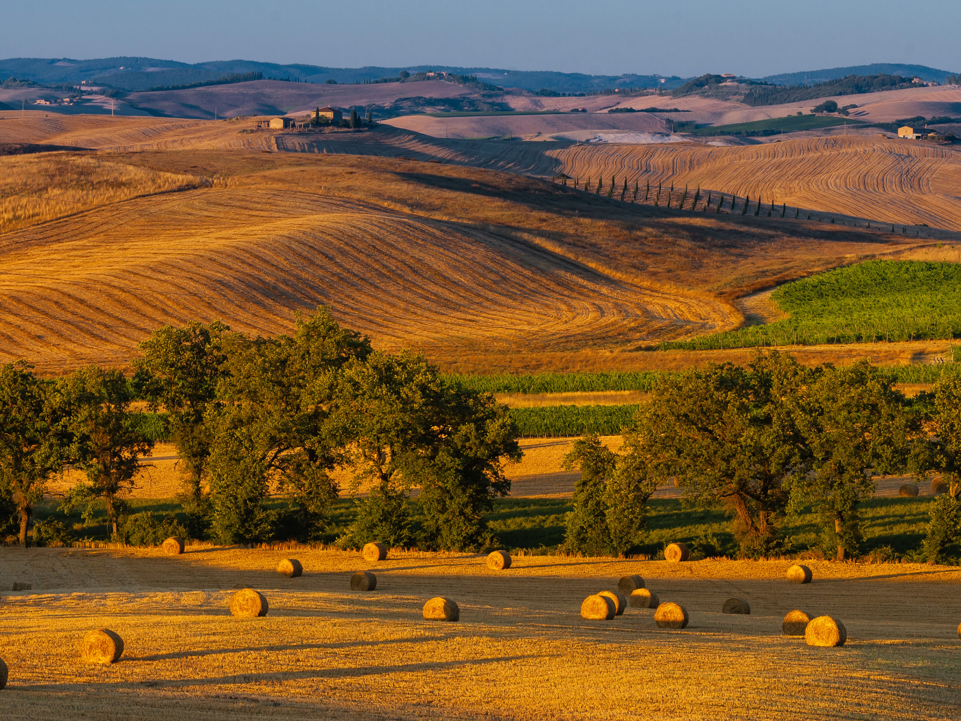 Снопы сена на поле в лучах солнца