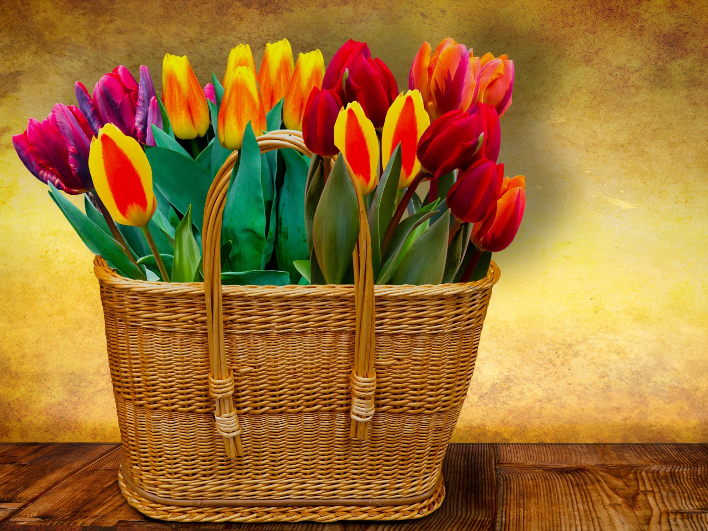 Красивый букет тюльпанов в корзине на фоне стены