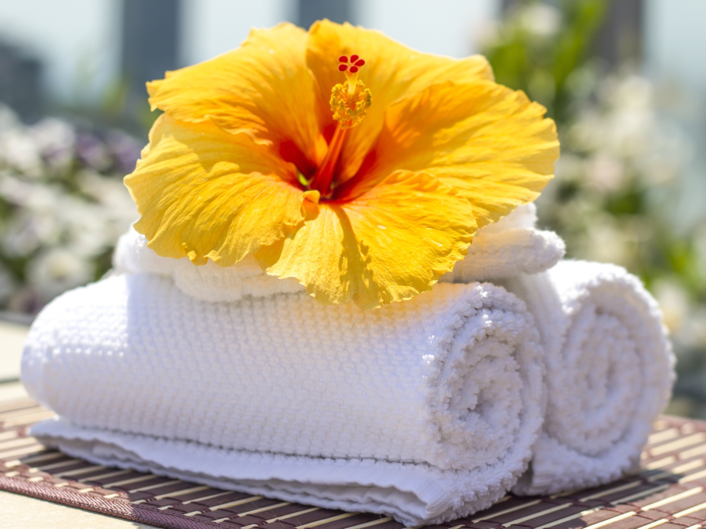 Большой цветок гибискуса с белыми полотенцами