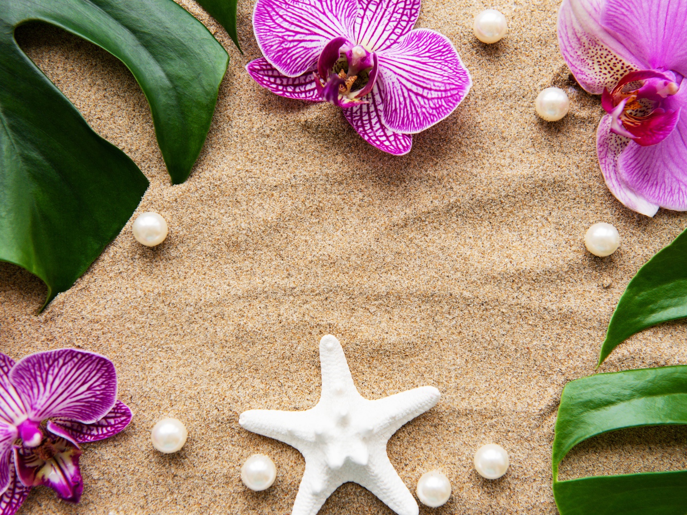 Розовые цветы орхидеи на песке с морской звездой