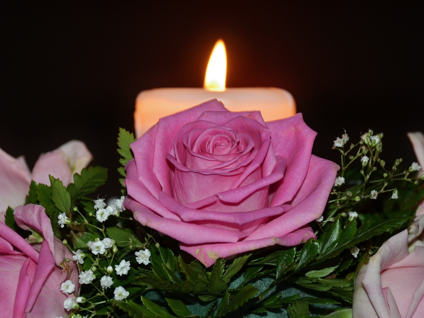 Розовые розы с зелеными листьями на столе со свечой