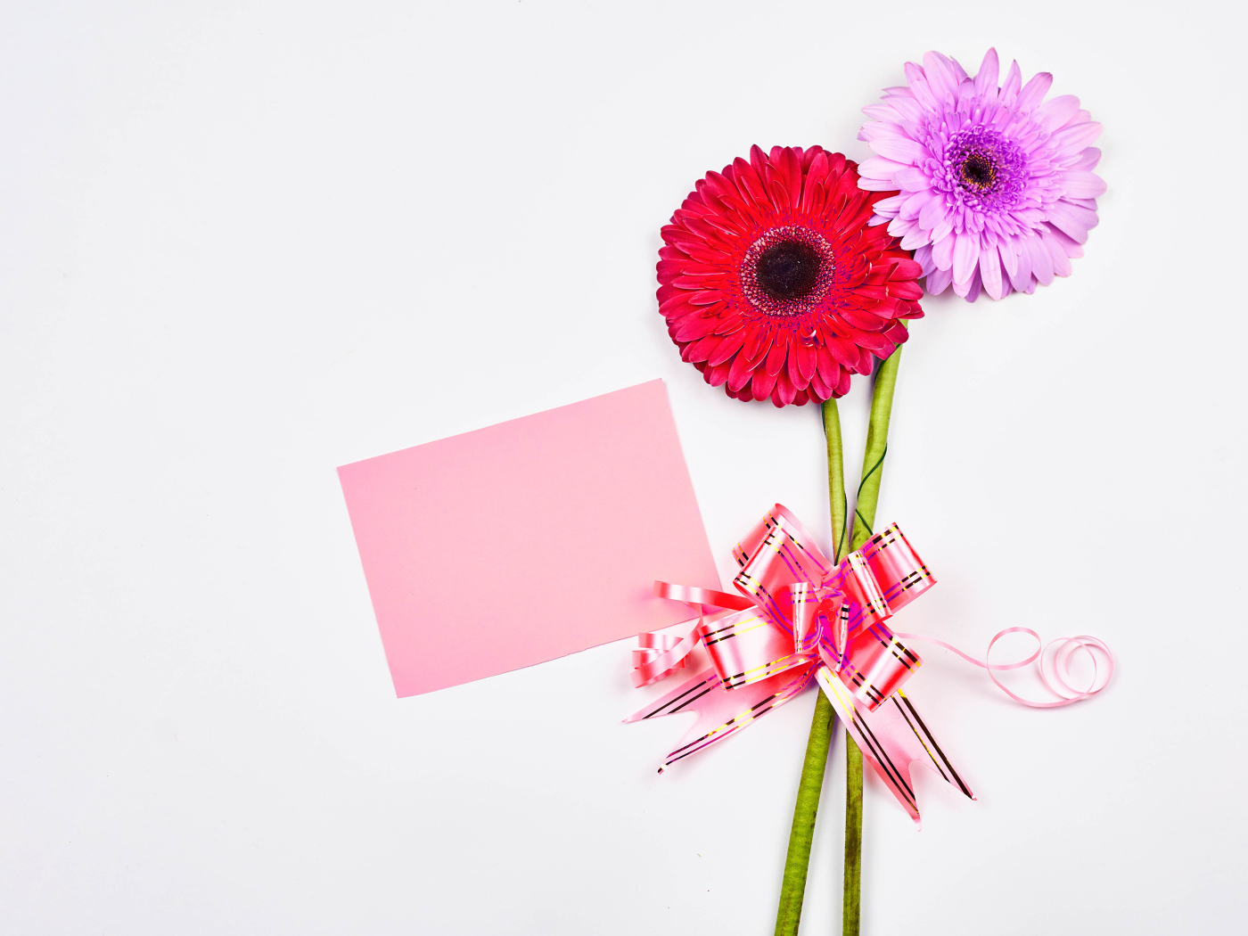 Два цветка герберы на столе с бантом и листом бумаги