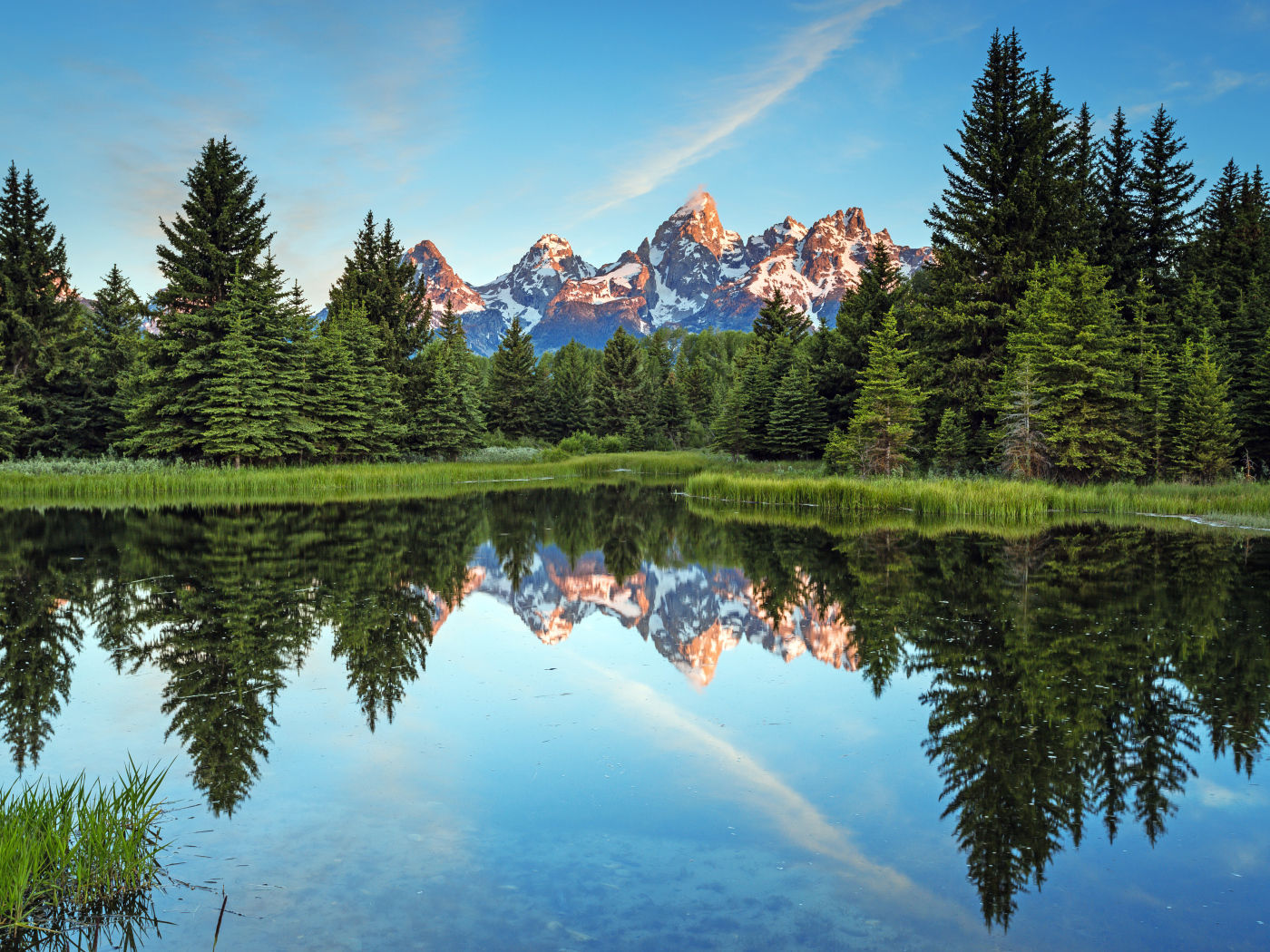 Зеленые высокие ели отражаются в озере на фоне гор