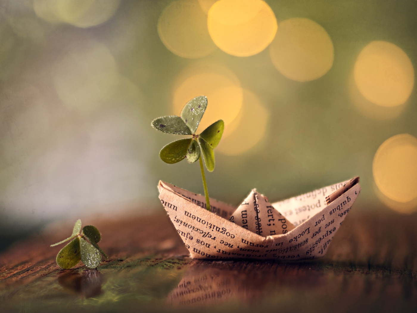 Бумажный кораблик с зеленым листом клевера