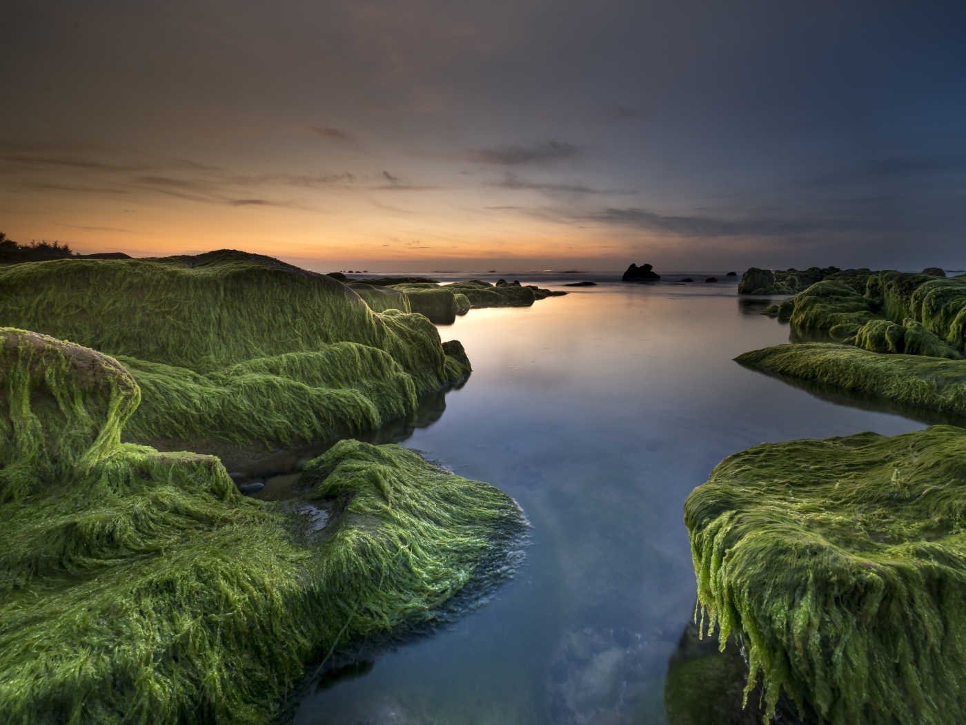 Покрытые зеленью берега у реки на закате солнца