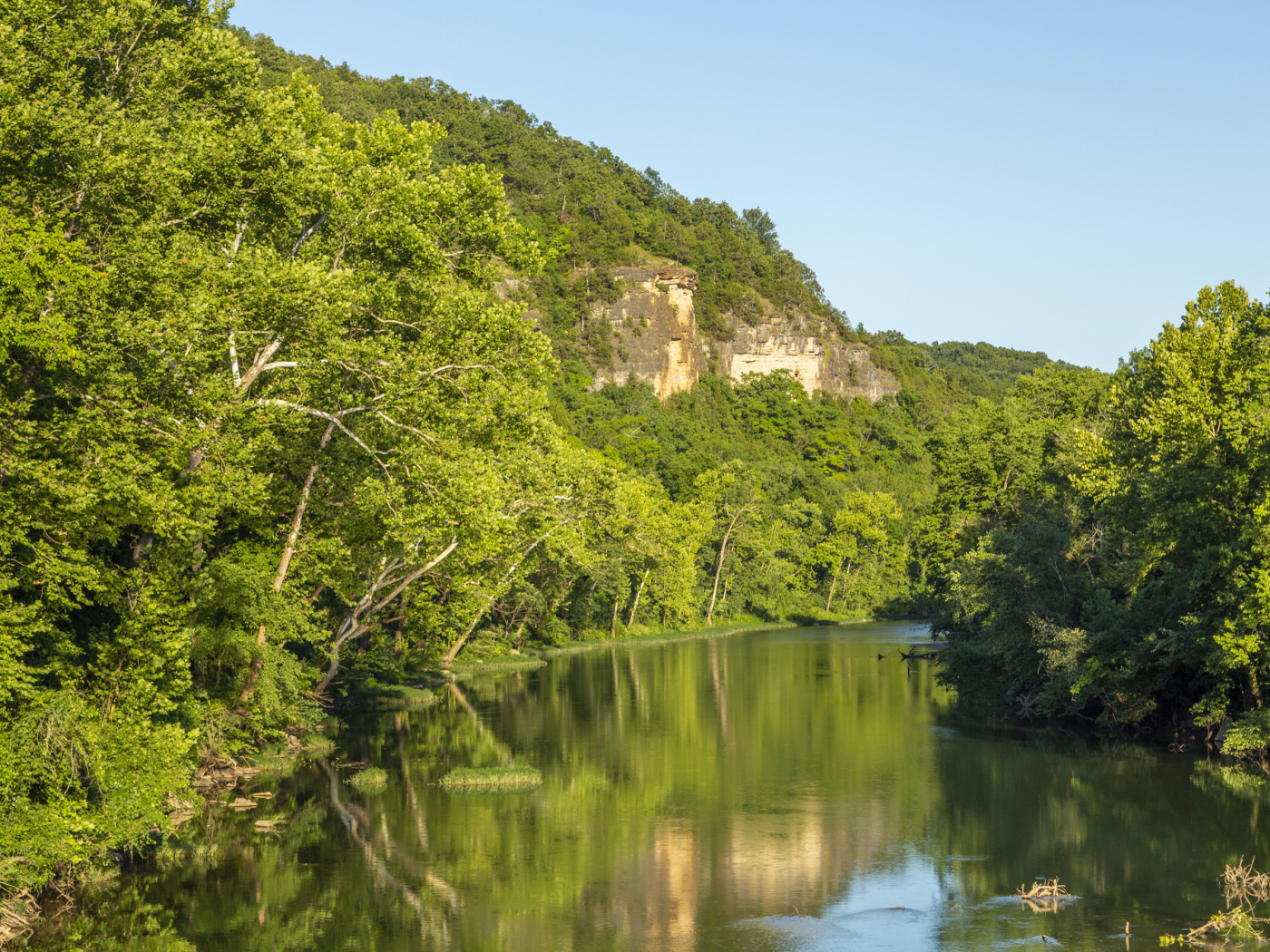 Зеленые деревья на склоне утеса над рекой 