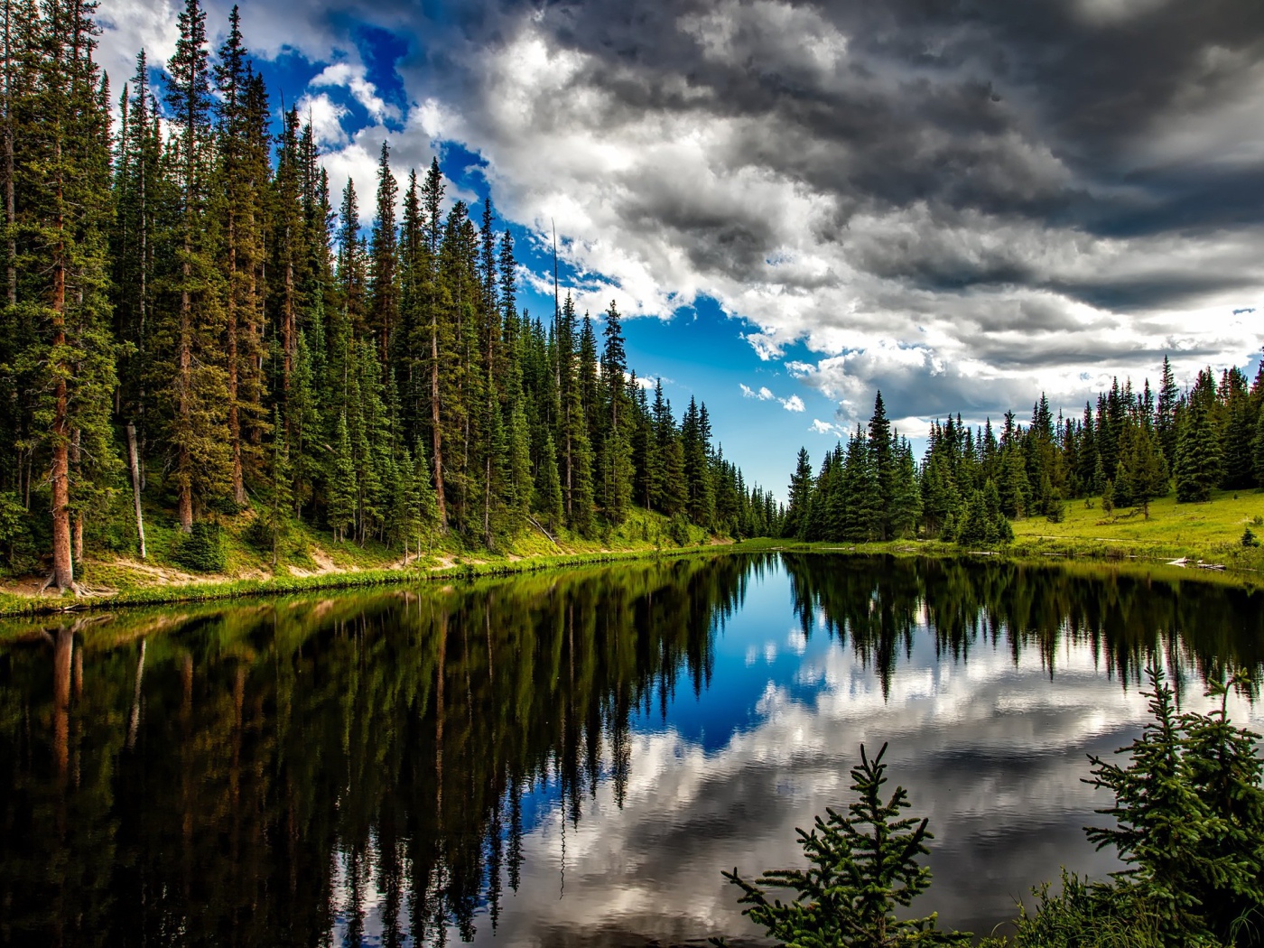 Высокие сосны на берегу озера под темными грозовыми облаками