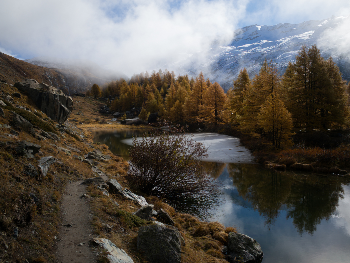 Вид на реку у леса в горах в тумане 
