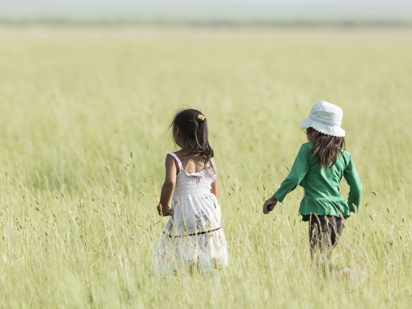 Две маленькие девочки гуляют по полю 