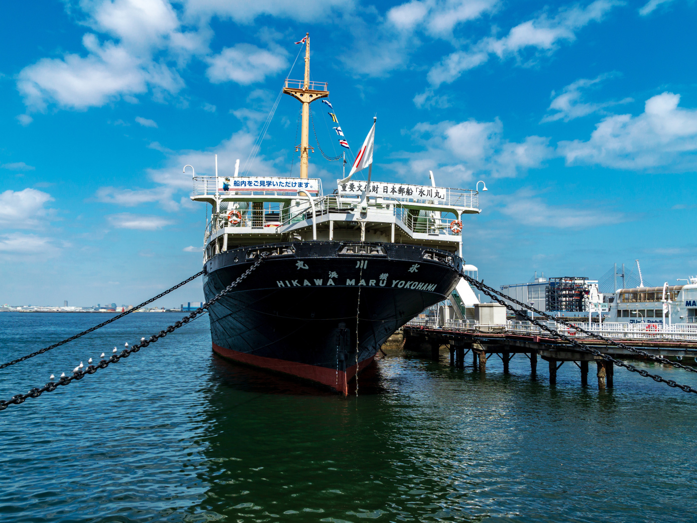 Большой пассажирский корабль NYK Hikawamaru в море 