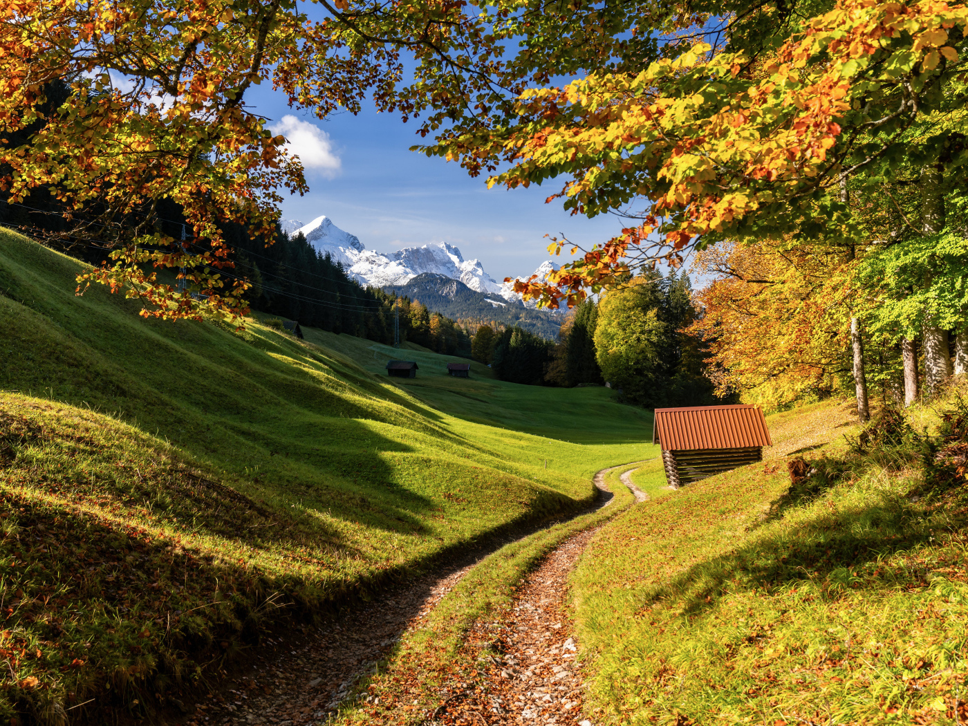 Красивая зеленая природа Альп, Германия