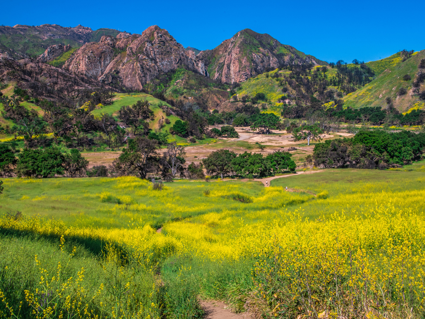 Большие горы под голубым небом, США