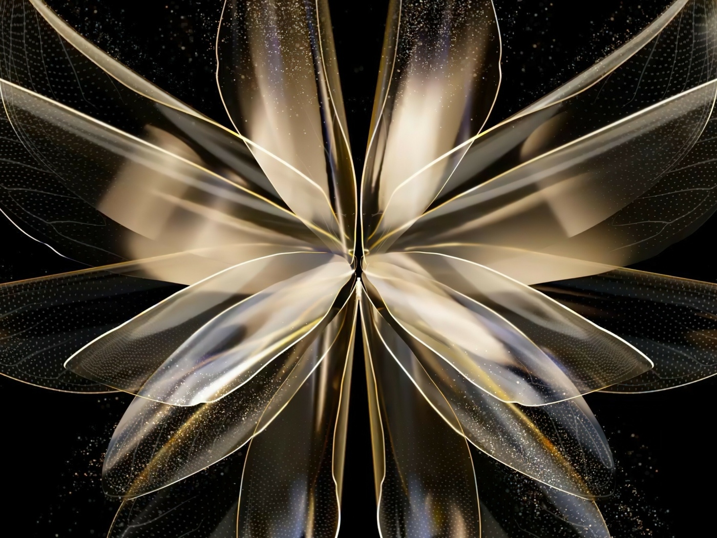 Красивый абстрактный цветок на черном фоне